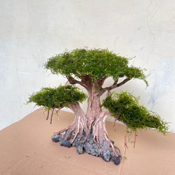 Bonsai Tree Aquarium Driftwood, Java Moss Drift Wood Bonsai