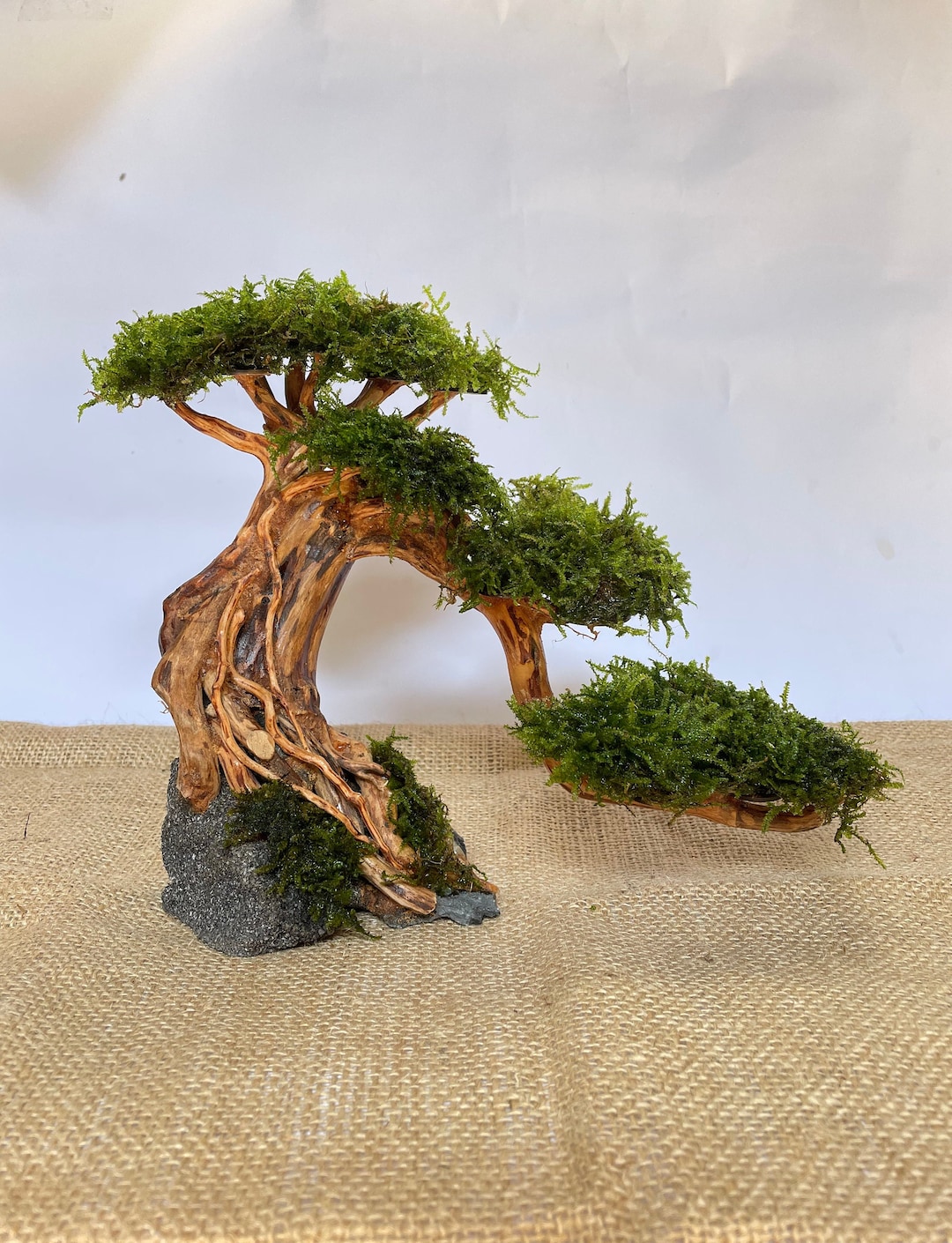 Aquarium Moss Driftwood Bonsai Tree , Weeping Java Moss Drift Wood