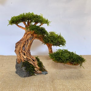 Aquarium Moss Driftwood bonsai tree , weeping java moss drift wood bonsai mini terrarium, aquascape rock decorations, reptile habitat decor image 1