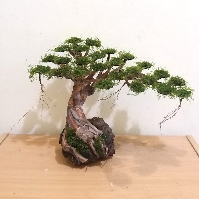 Aquarium Driftwood Moss Aquascape Bonsai Mini Drift Wood Etsy