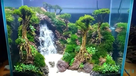 Cascade de sable Aquarium 