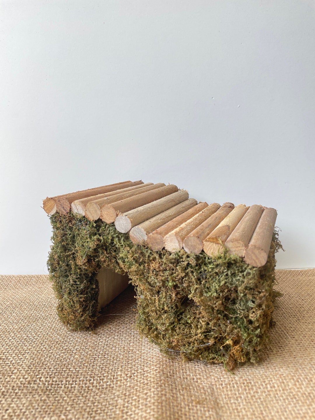 Moss Reptile Hide and Hamster House Natural Mossy Snake Aquarium