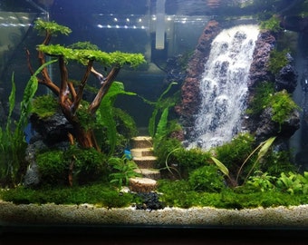 Bij zonsopgang vergeten Geleidbaarheid Aquarium sand - Etsy België