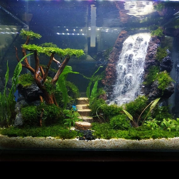 Kit acquario cascata di sabbia, ornamento aquascape kit caduta di sabbia  acquario subacqueo arredamento fai da te, iwagumi -  Italia