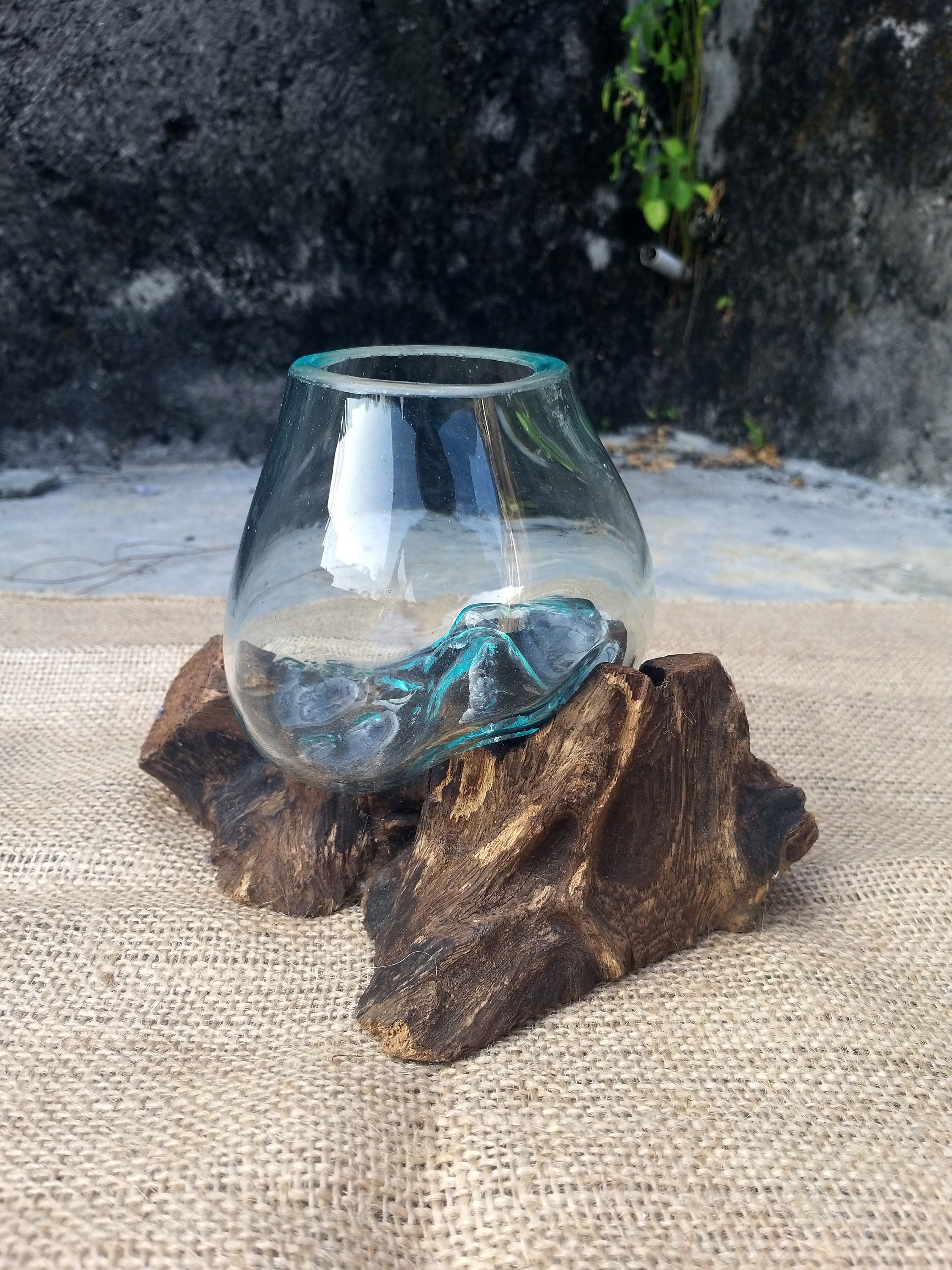 Glass Wood Terrarium Glass Vase on Root Wood Large Terrarium Etsy