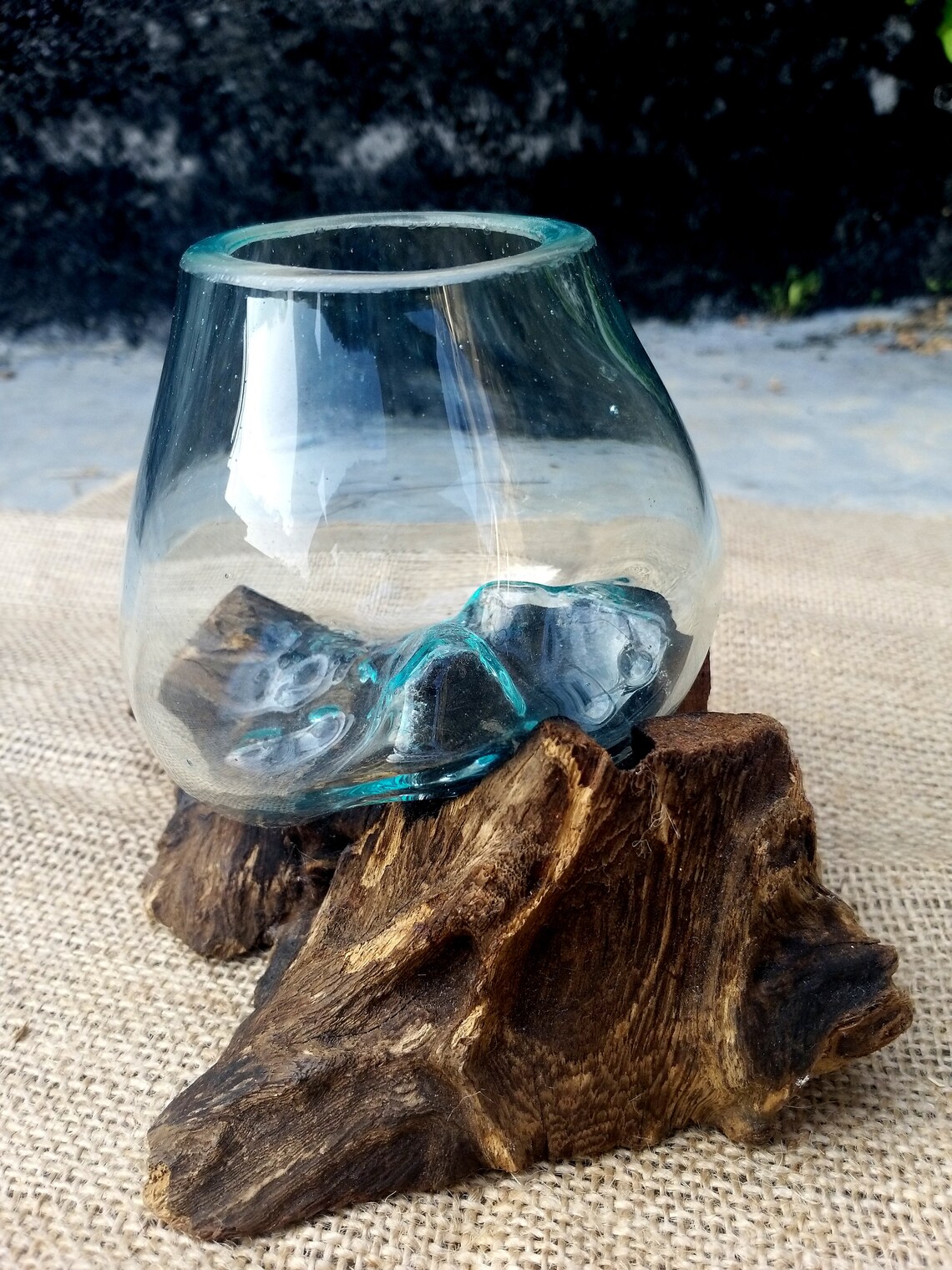 Glass Wood Terrarium Glass Vase on Root Wood Large Terrarium Etsy