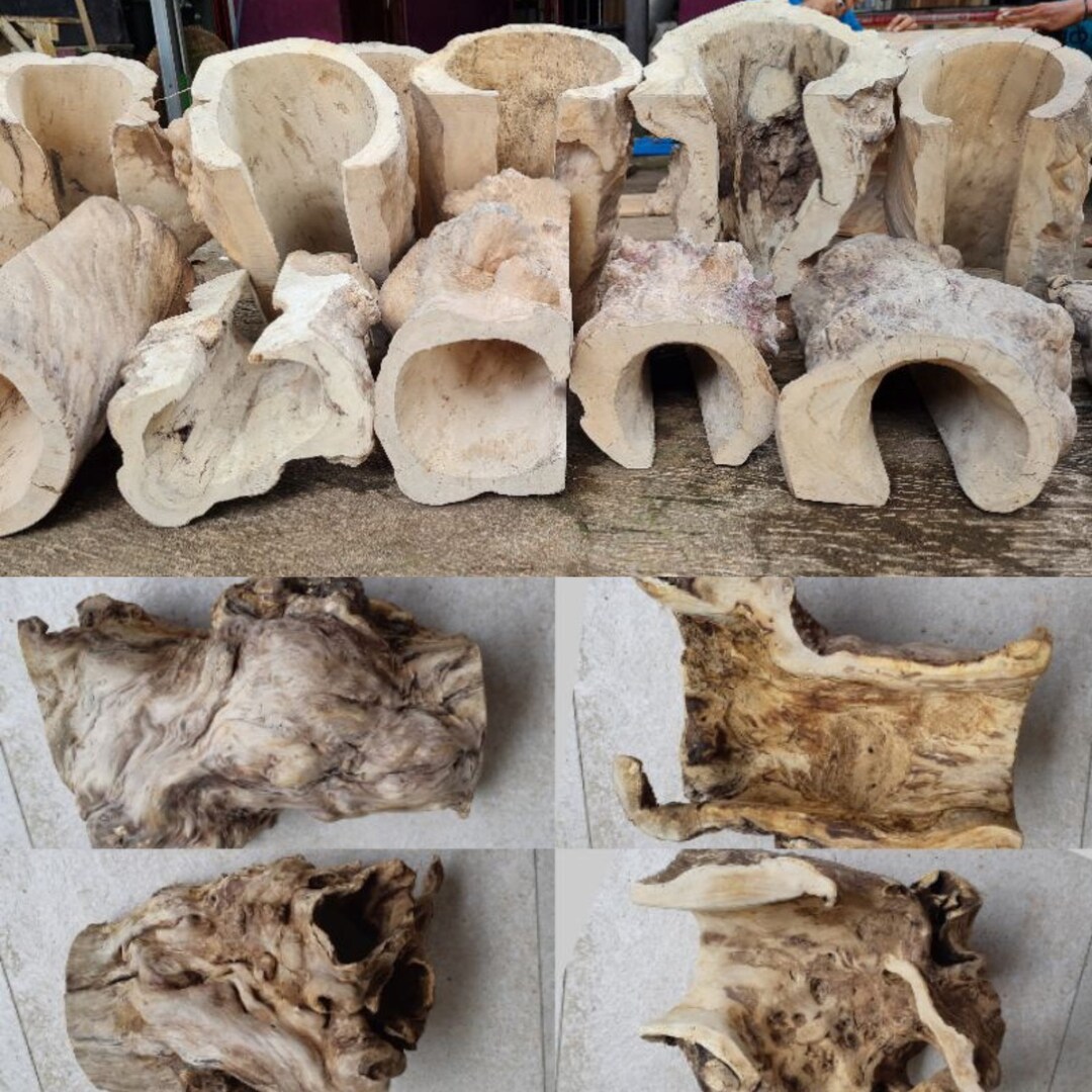 Cork Bark for Reptiles,hides for Reptil, Vivariums or Terrariums, Sugar