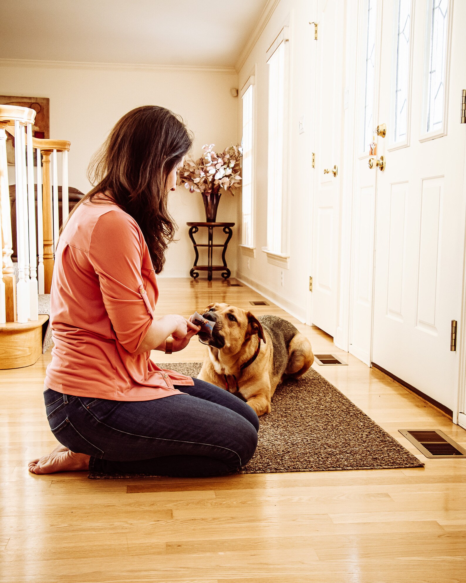 The Nosey Nose Nosework Training Kit for Dogs Scent Work Kit Etsy Canada