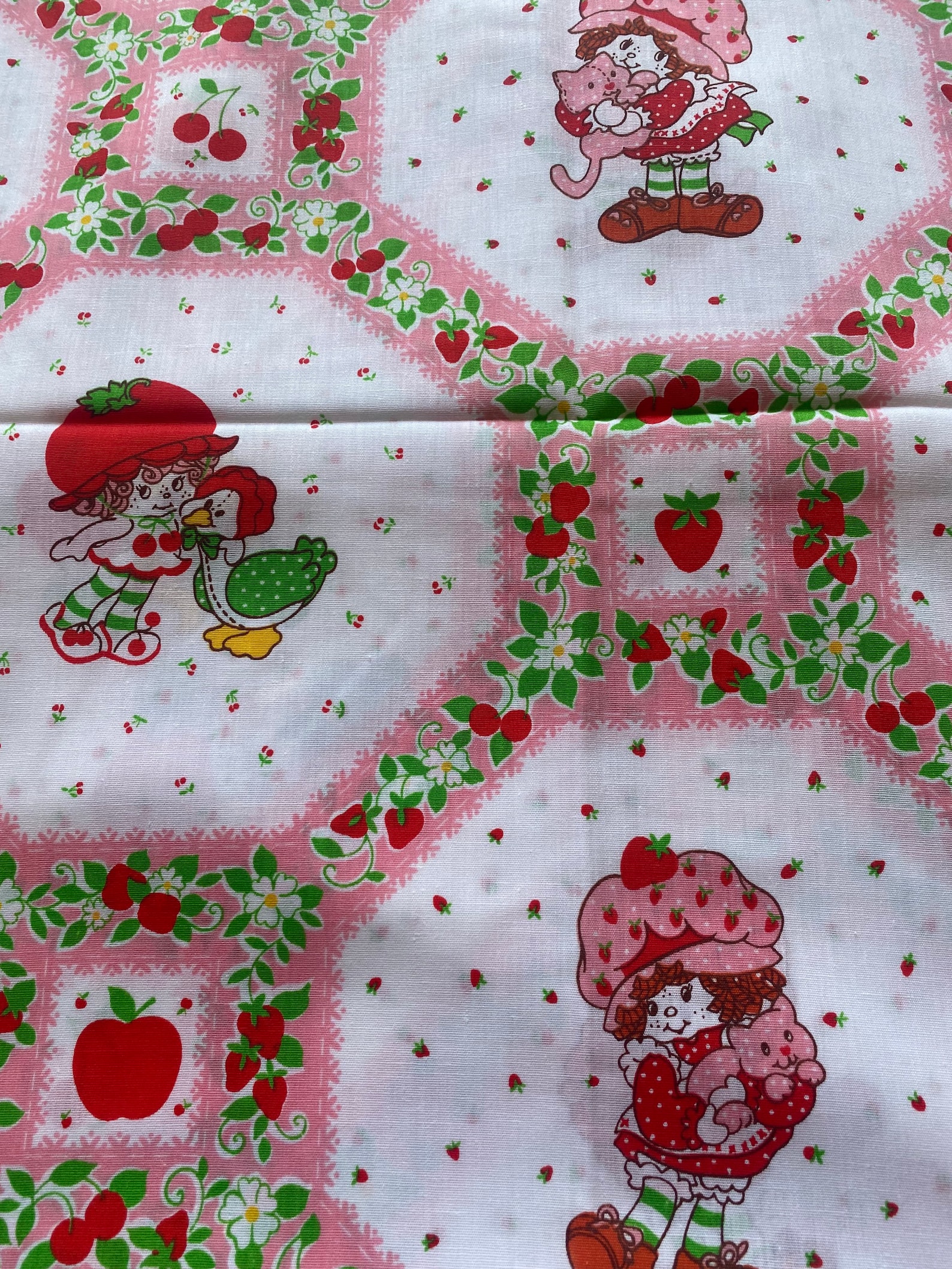 1/2 Yd Vintage Strawberry Shortcake Fabric Print Springs Mills Etsy