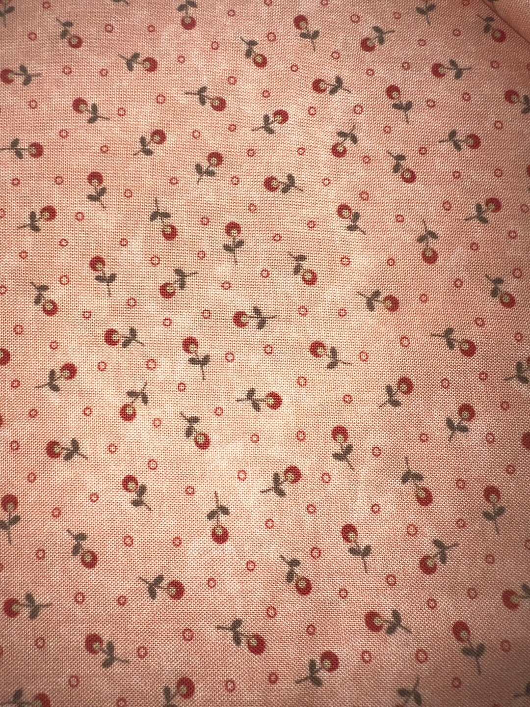 1/2 Yd “everlastings” Floral Print by Sandy Gervais for Moda Cotton ...