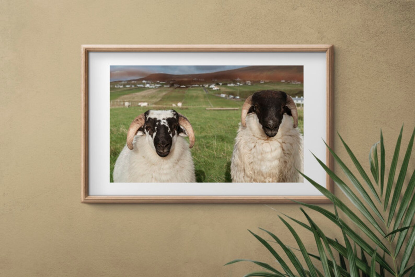 Two Sheep Print Irish Print Wall Art Download Digital Etsy