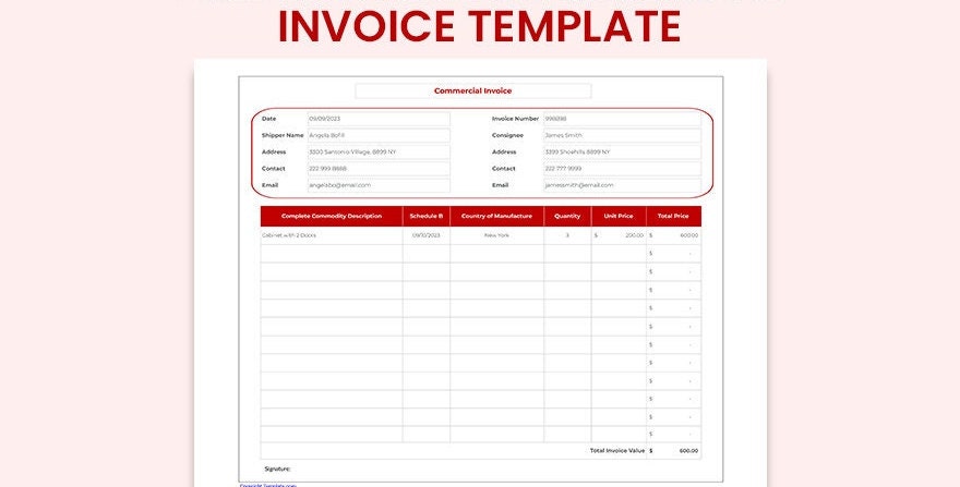 Editable Commercial Invoice Template - Etsy