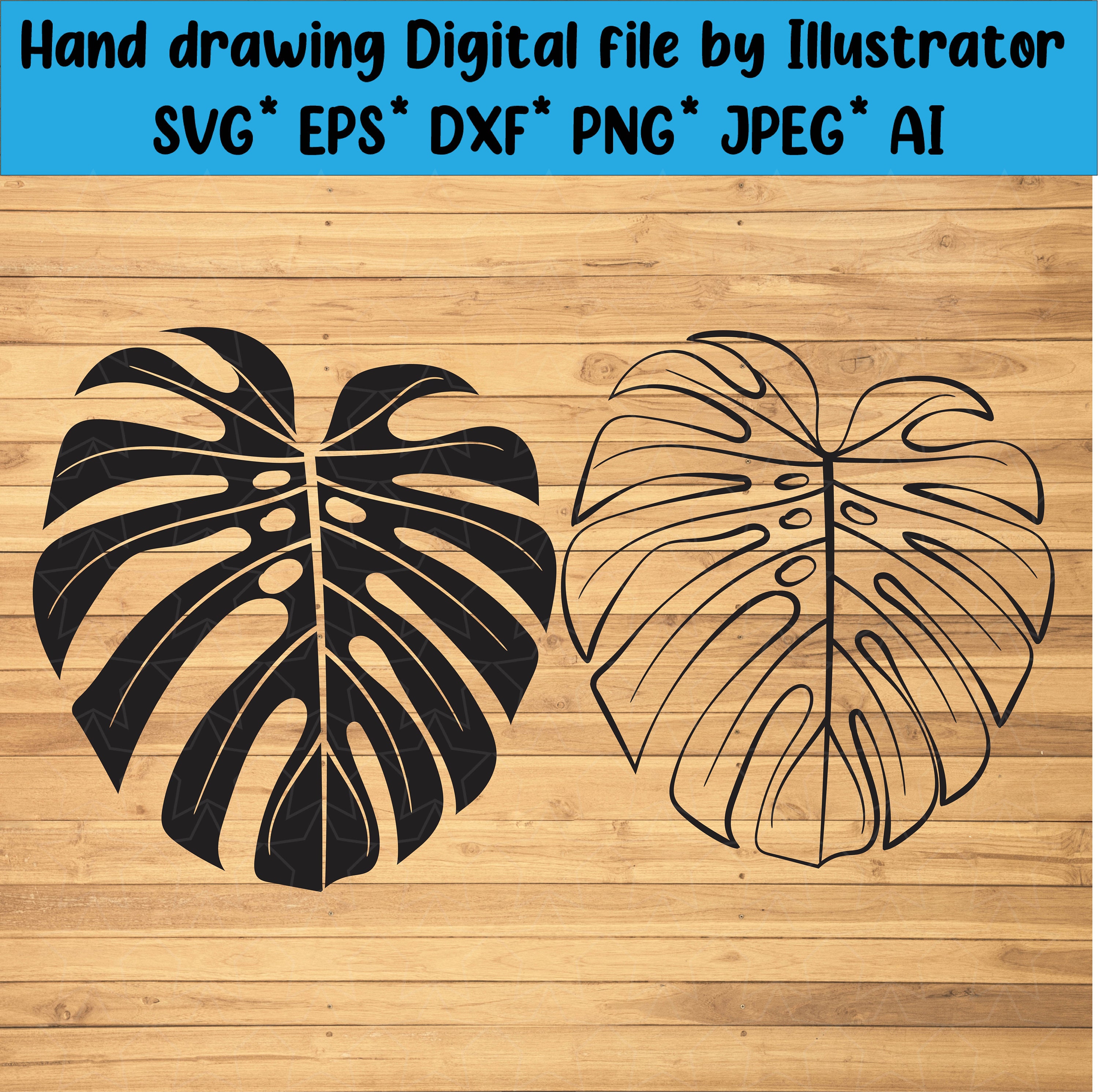 Monstera svg Monstera Leaf SVG cutting file monstera | Etsy