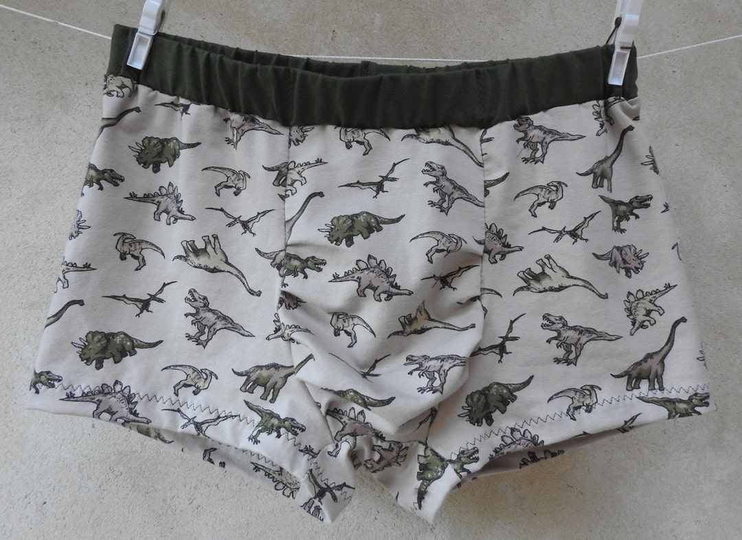 Dinosaur Boxers, Comfy Pants, Soft Undies, Men's Underwear, Trunks - Etsy