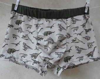 Dinosaur Boxers, comfy pants, soft undies, men's underwear, trunks