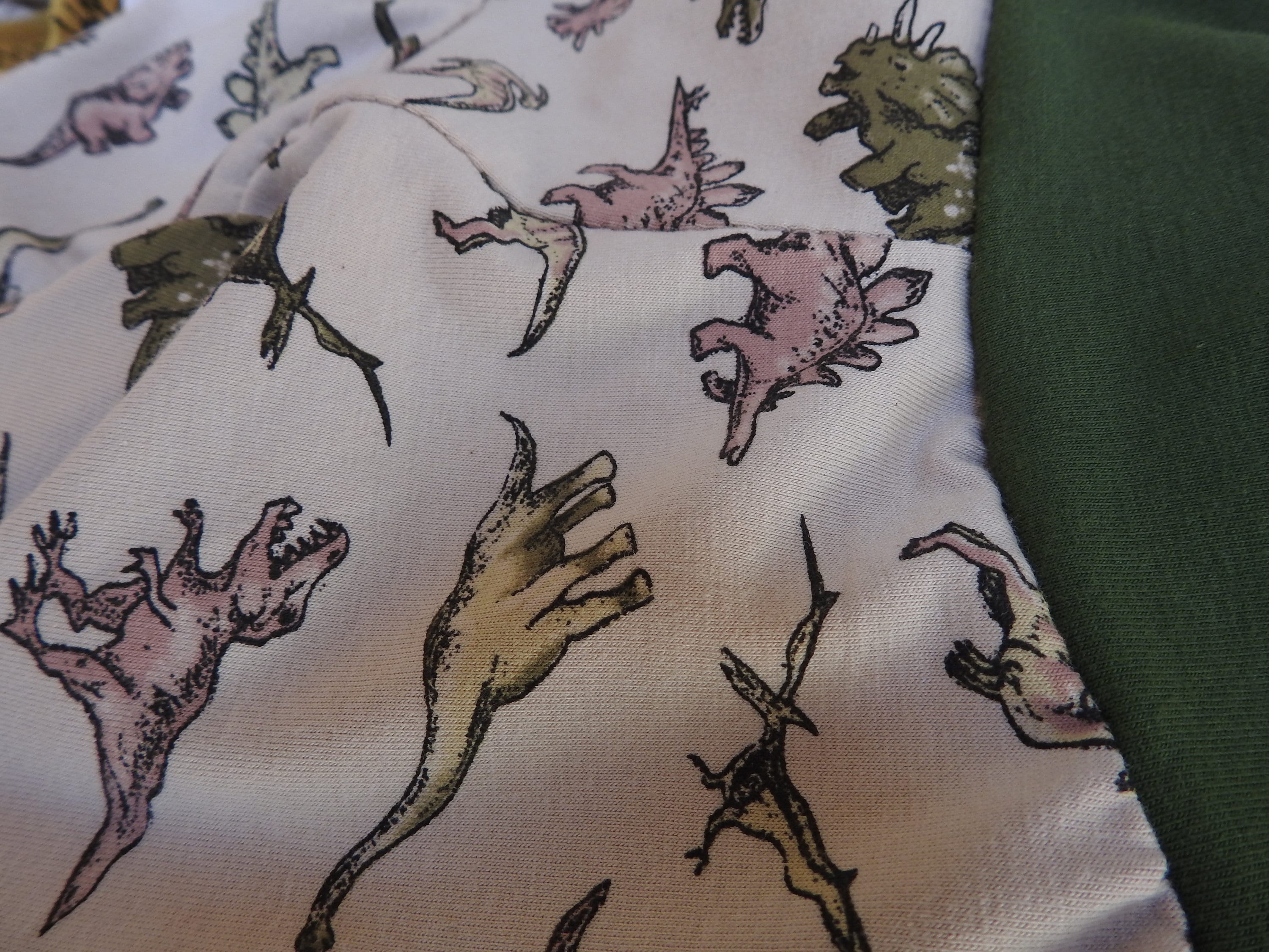 3331ZW-70x70in-180x180cm -Rideau De Douche Imprimé Dinosaure, Plante Verte, Paysage Pour Enfants