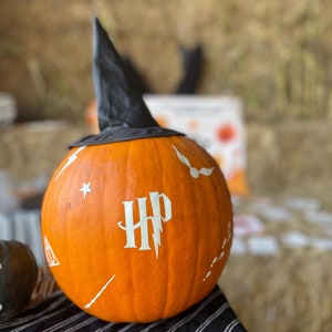 May include: A round orange pumpkin decorated with white Harry Potter-themed symbols, including the HP logo and a lightning bolt. The pumpkin is topped with a black witch's hat and sits on a black and white striped cloth, ideal for Halloween.