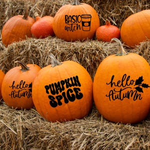 May include: A collection of orange pumpkins, each adorned with black lettering and designs. The pumpkins feature phrases such as "Basic Witch," "Pumpkin Spice," and "Hello Autumn." They are displayed on a bed of hay, creating a seasonal autumn display.