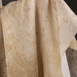 May include: A close-up of a piece of fabric with a delicate, embossed pattern. The fabric is a light beige color and has a slightly textured surface. The fabric is folded in a way that creates a sense of depth and dimension.