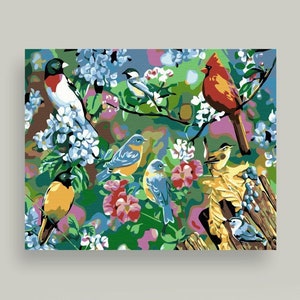 Bird Painting By Numbers For Adults Beginners - Temu