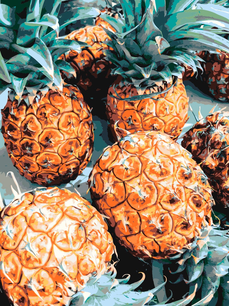 Pineapples From Hawaii Paint by Number Kit USA Shipping DIY Etsy