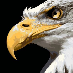Eagle Head, Paint by Number Kit, BIR-5 Shipping from US, DIY Acrylic Painting Home Decoration, Paint Therapy