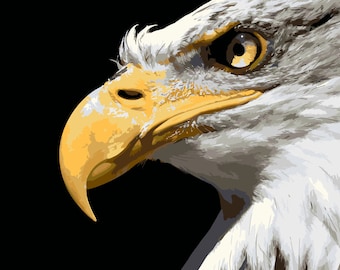 Eagle Head, Paint by Number Kit, BIR-5 Shipping from US, DIY Acrylic Painting Home Decoration, Paint Therapy