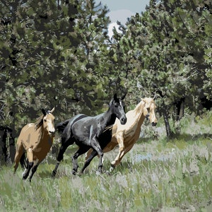 Three Running Horses, Paint by Number Kit, HOR-5 Shipping from US, DIY Acrylic Painting Home Decoration, Paint Therapy