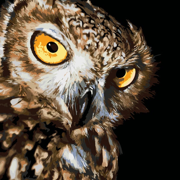 Paint by Number Kit, Owl Etsy