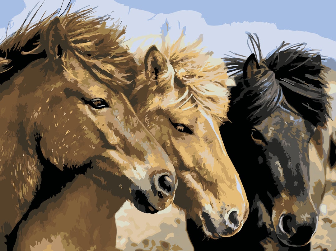 Horse Trio, Paint by Number Kit, HOR4 Shipping From US, DIY Acrylic