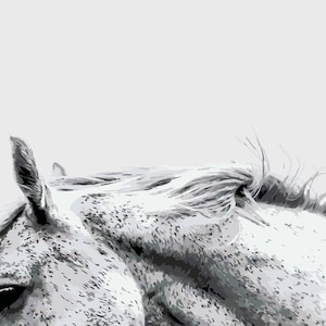 White Horse, Paint by Number Kit, HOR-3 Shipping from US, DIY Acrylic Painting Home Decoration, Paint Therapy