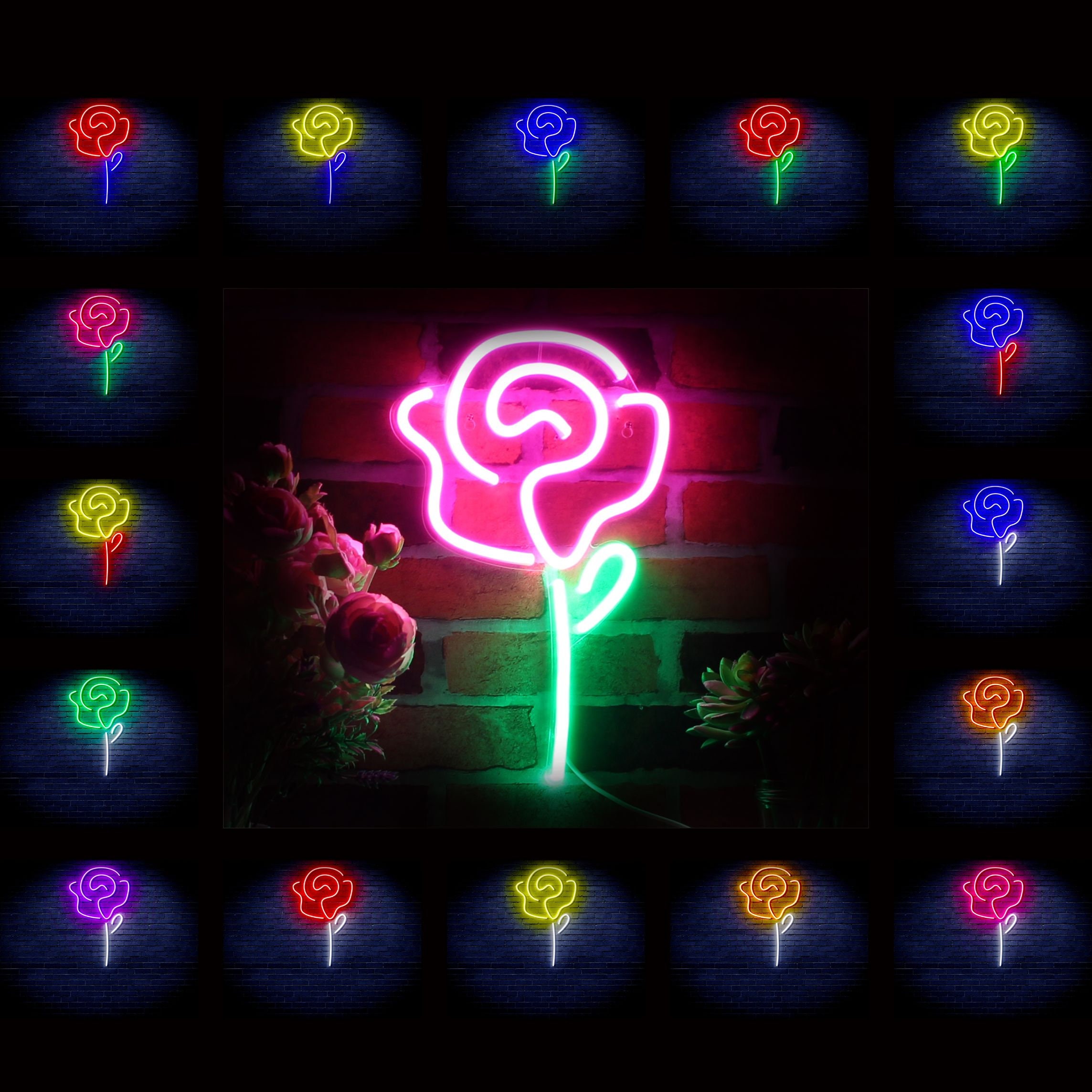 Neon Rose -  Canada
