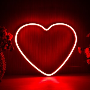 Heart Girl Room Flex Silicone LED Neon Sign st16-fnu0051
