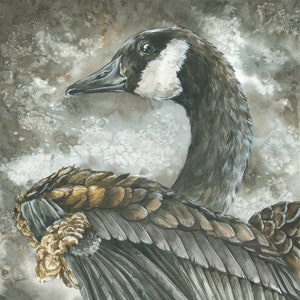 Pittura originale dell'oca dell'acquerello · Acquarello · Arte · Piuma · Uccello · Opera d'arte tecnica mista · Guazzo · Canada · Animale · Disegno
