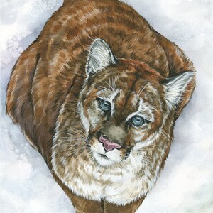 Pittura ad acquerello originale del puma · Leone di montagna · Puma · Acquarello · Arte · Opera d'arte tecnica mista · Guazzo · Canada · Animale · Disegno