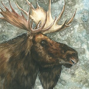 Pittura originale di alce ad acquerello · Acquarello · Arte · Arte da parete · Decorazione da parete · Grafica mista · Guazzo · Canada · Animale · Disegno