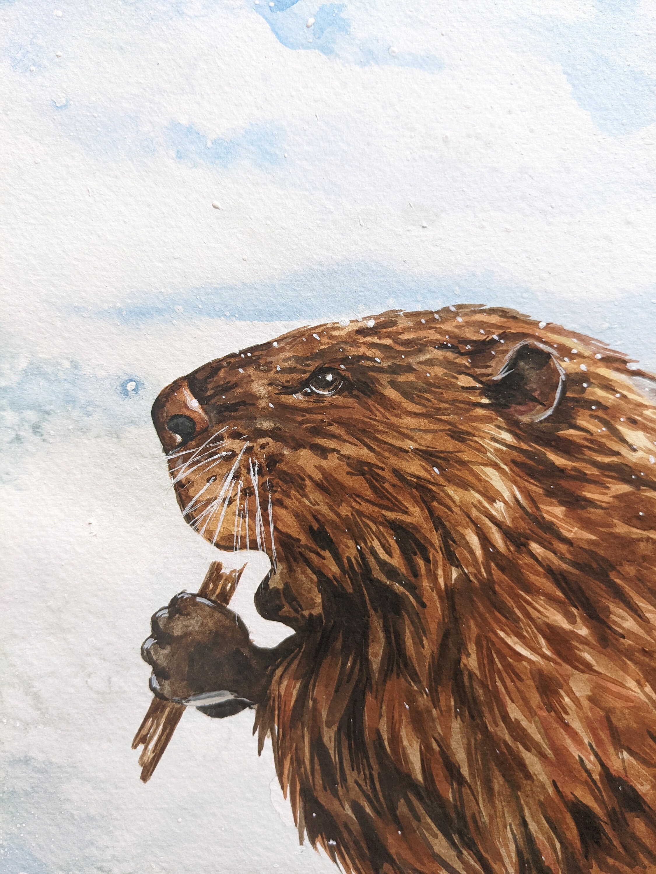 オリジナル水彩ビーバー画：カナダの野生動物アート - Etsy 日本