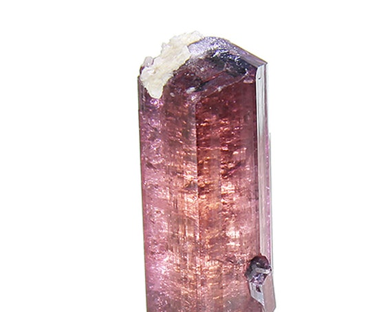Tourmaline / (Fluor-Liddicoatite) / Locality - Camp Robin area, Fianarantsoa Province, Madagascar