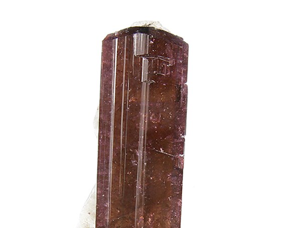 Tourmaline / (Fluor-Liddicoatite) / Locality - Camp Robin area, Fianarantsoa Province, Madagascar