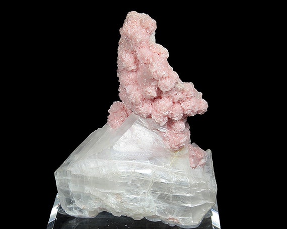 Rhodochrosite on Gypsum (var: "Selenite") / Locality - Sunnyside Mine, Bonita Peak, Eureka District, San Juan County, Colorado