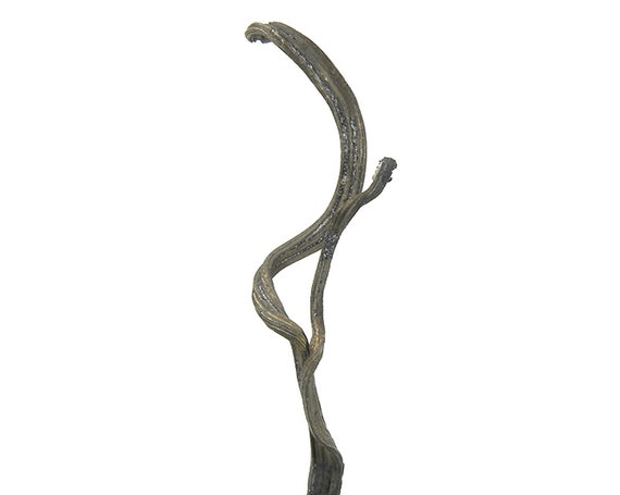 Silver (wires) / Locality - Porco Mine, Agua de Castilla, Quijarro Province, Potosi Department, Bolivia