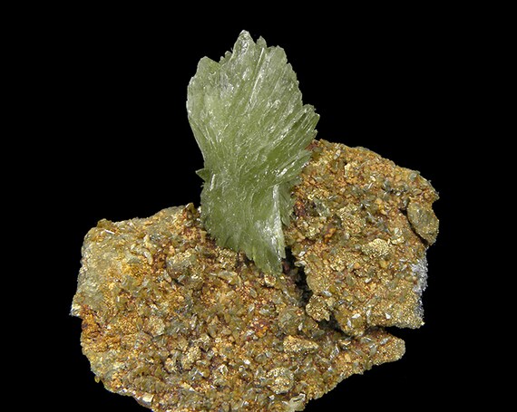Ludlamite with Vivianite on matrix / Locality: Huanuni mine, Huanuni, Dalence Province, Oruro Department, Bolivia