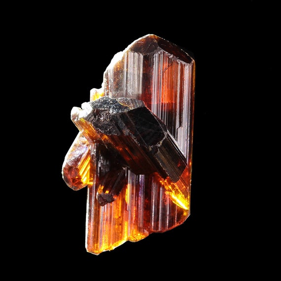 Rutile (superb GEMMY{!} reticulated "floater" twinned crystal group - Diamantina, Minas Gerais, Brazil