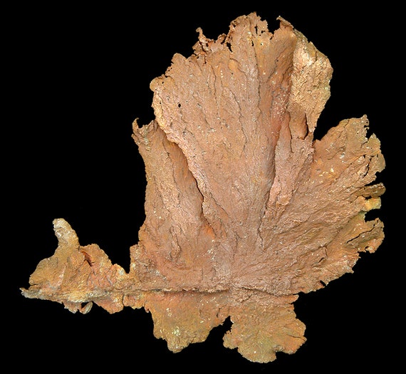 Copper / (leaf-like specimen) / Locality: Corocoro District, Pacajes Province, La Paz Department, Bolivia