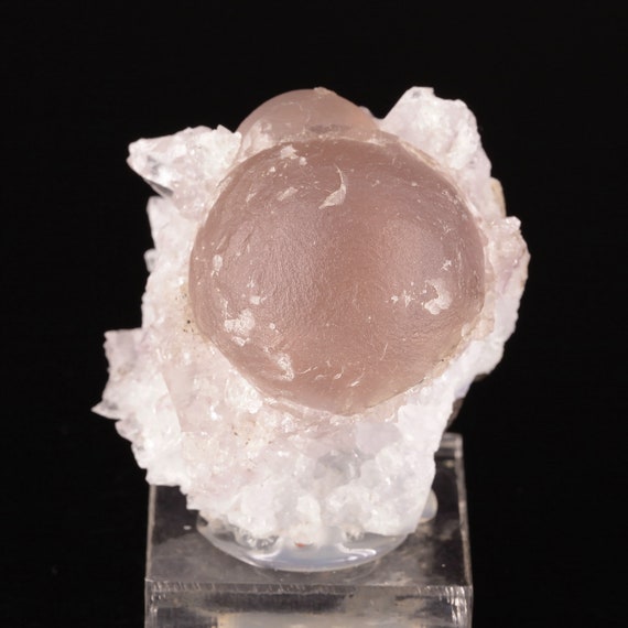 Rare Pink Spherical Fluorite on Quartz - Mahodari Quarry, Nashik, Maharashtra, India