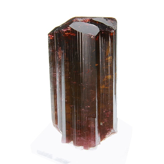 Tourmaline / (Fluor-Liddicoatite) / Locality: Camp Robin area, Fianarantsoa Province, Madagascar