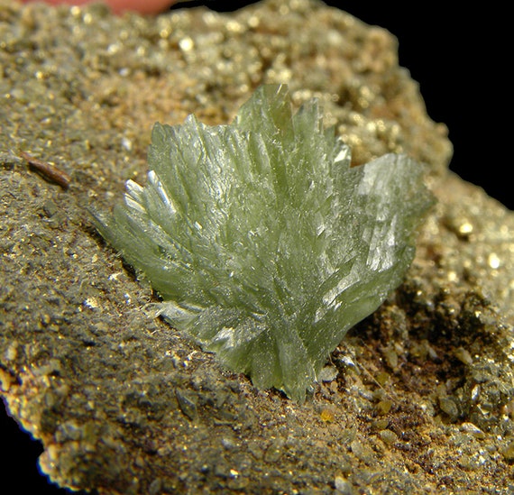 Ludlamite on Pyrite / Locality - Huanuni mine, Huanuni, Dalence Province, Oruro Department, Bolivia