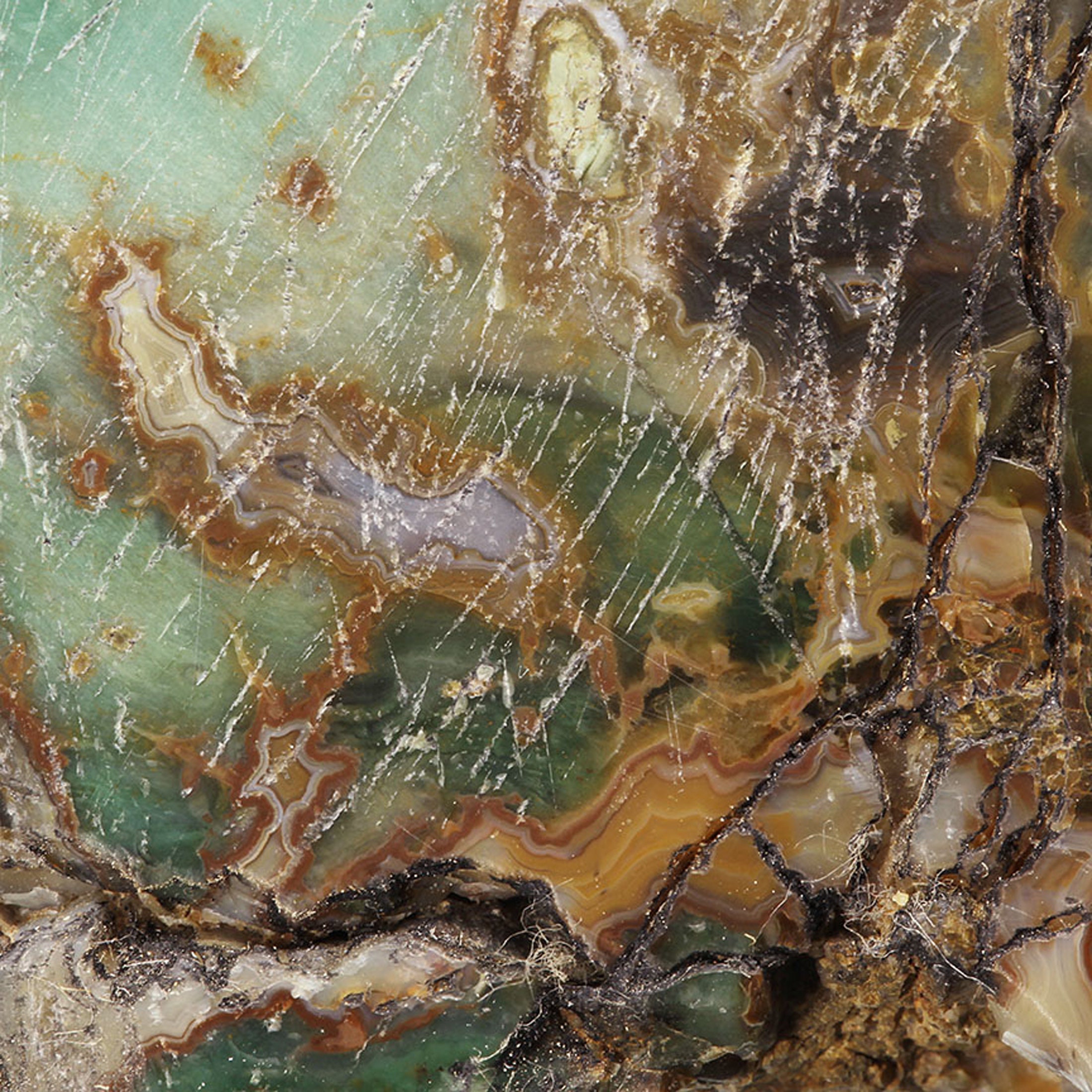 Petrified Wood (incredibly rare color) with Banded Agate / Locality