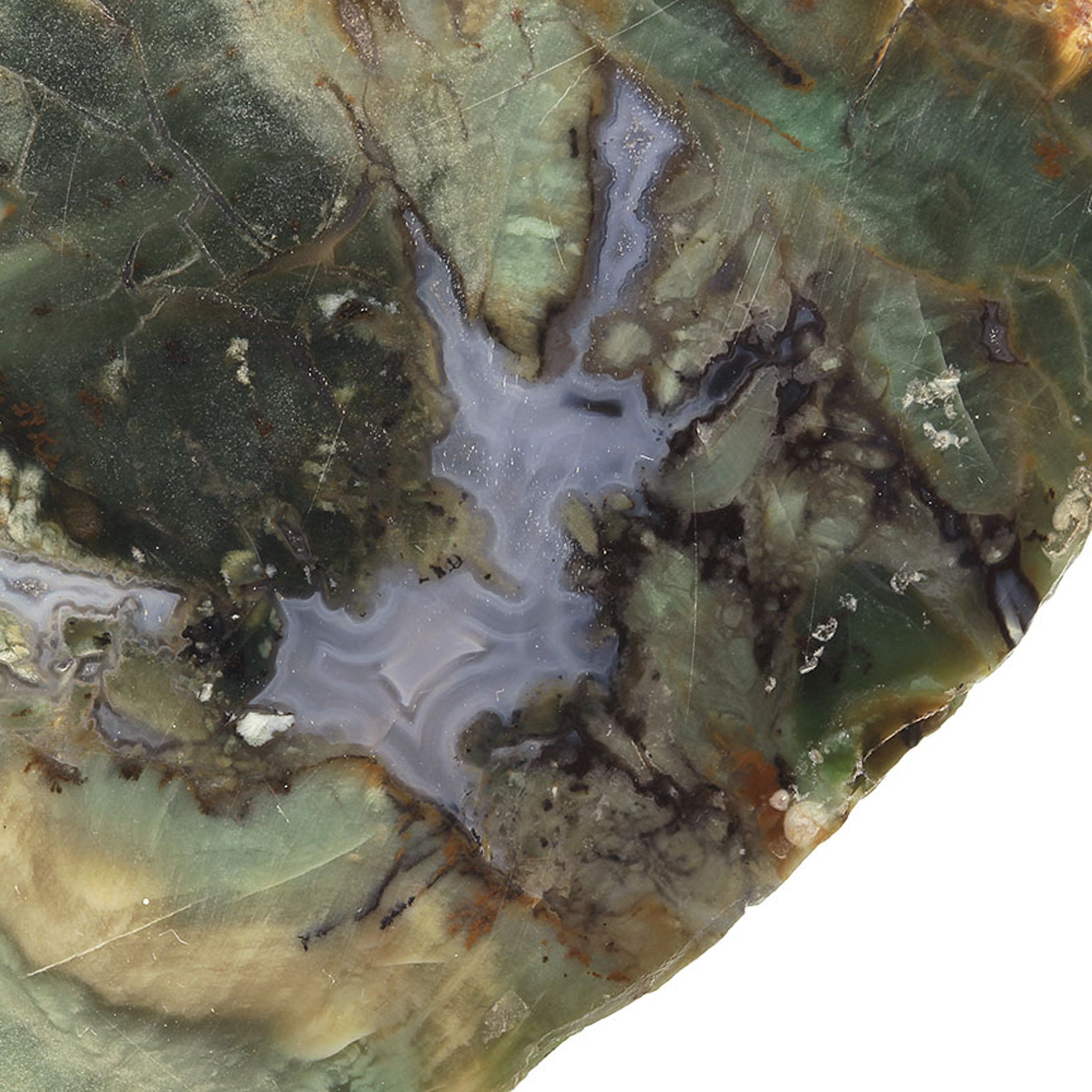 Petrified Wood (incredibly rare color) with Banded Agate / Locality