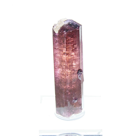 Tourmaline / (Fluor-Liddicoatite) / Locality - Camp Robin area, Fianarantsoa Province, Madagascar